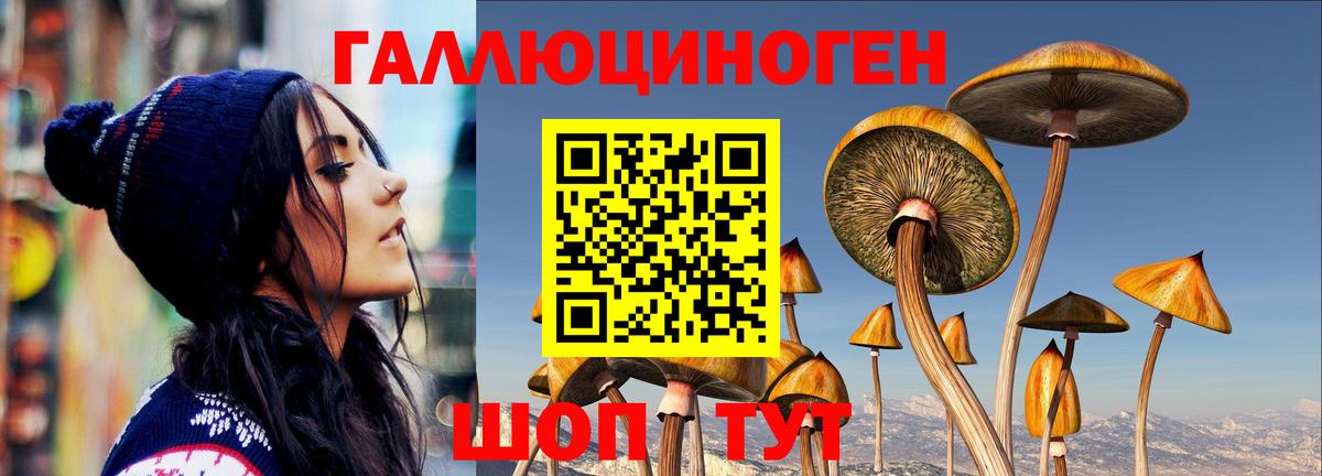Псилоцибиновые грибы ЛСД  Вход с VPN  Орск 